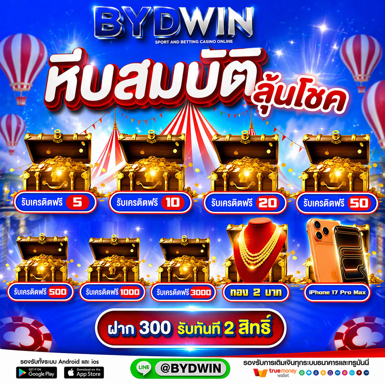 BYDWIN